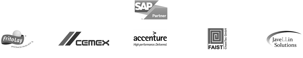 Our clients include SAP, Frito Lay, CEMEX, Accenture, FAIST, and Javellin Solutions
